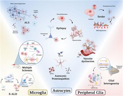 Editorial: The role of glial cells in neurodegeneration